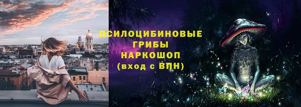 соль ск Липки
