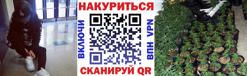 Шишки марихуана планчик  Купить где  Могоча 